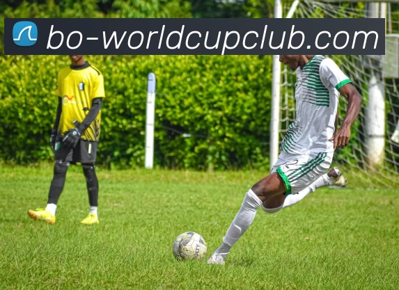 世俱杯线上平台APP 体育赛事宣传图